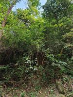 常山记录影像