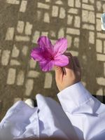 杜鹃记录影像