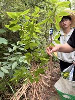 杜鹃记录影像