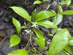 南山花记录影像