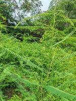 田菁记录影像