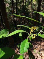 九节记录影像