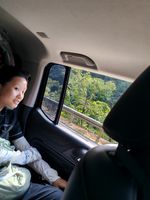 毛竹记录影像