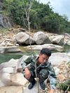 杜鹃叶山茶